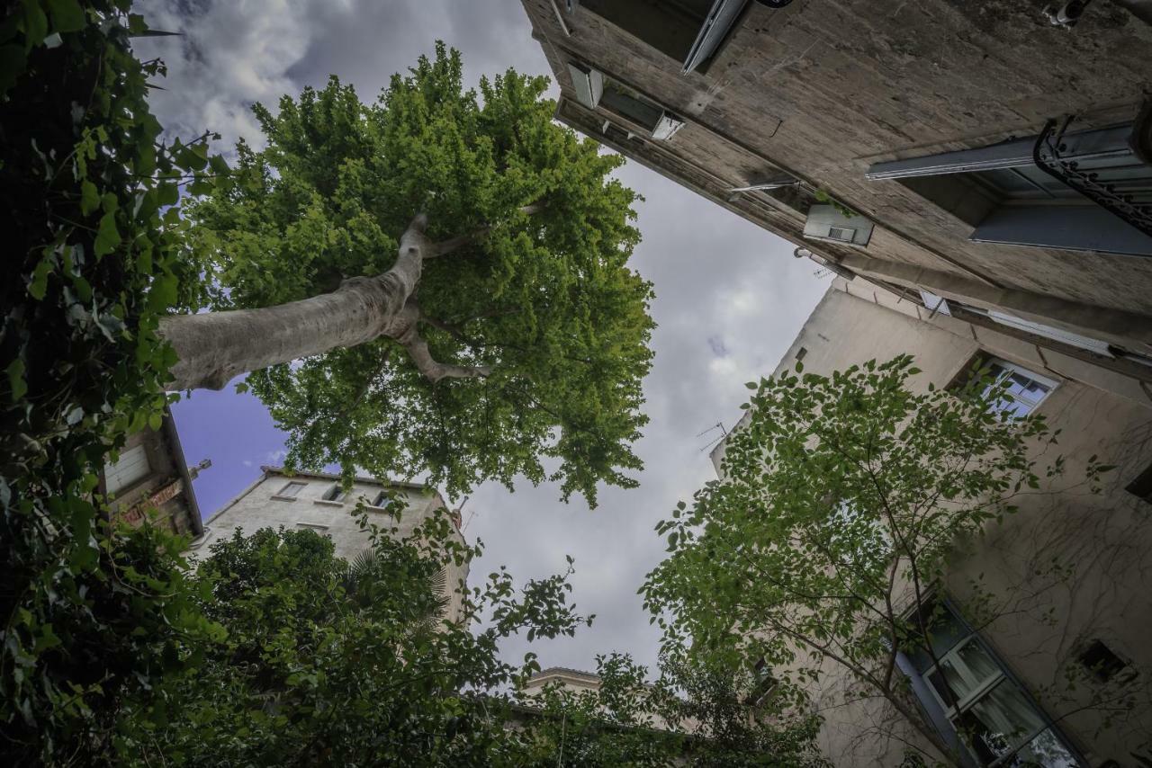 Les Jardins De L'Ecusson - Premiere Conciergerie Lejlighed Montpellier Eksteriør billede